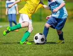 独家揭秘,巴林顶级裁,判团领衔,MK体育,MK体育入口,MK体育官方入口,MK体育官方网址