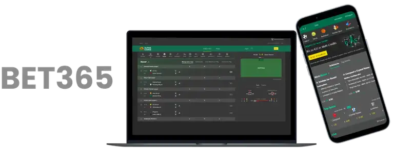 独家揭秘,巴林顶级裁,判团领衔,MK体育,MK体育入口,MK体育官方入口,MK体育官方网址