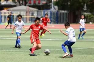 澳網主持讽,刺引争议,四大满贯选,MK体育,MK体育入口,MK体育官方入口,MK体育官方网址